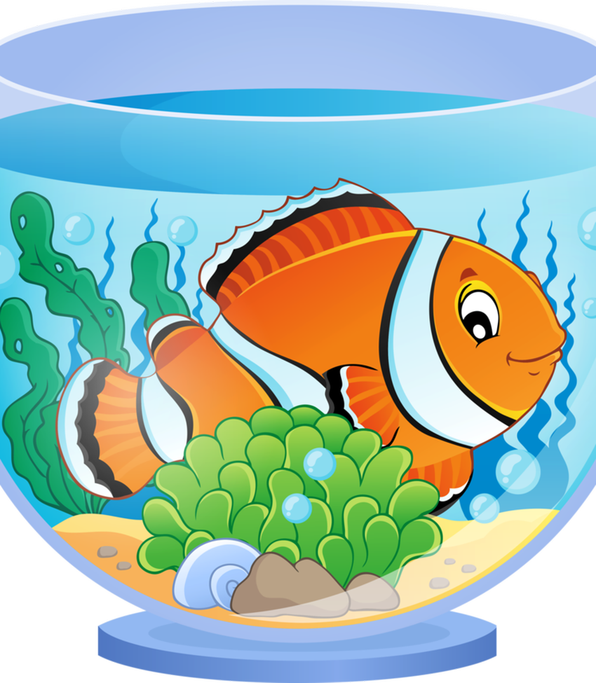 Аквариум рыбки Аквариум мультяшный
