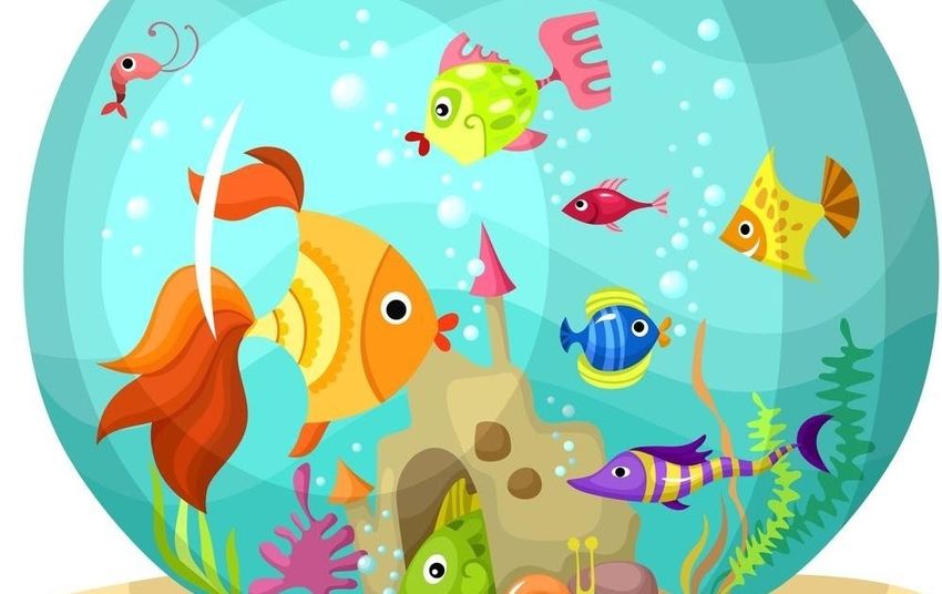 Аквариум с рыбками для детей Рыбки в аквариуме