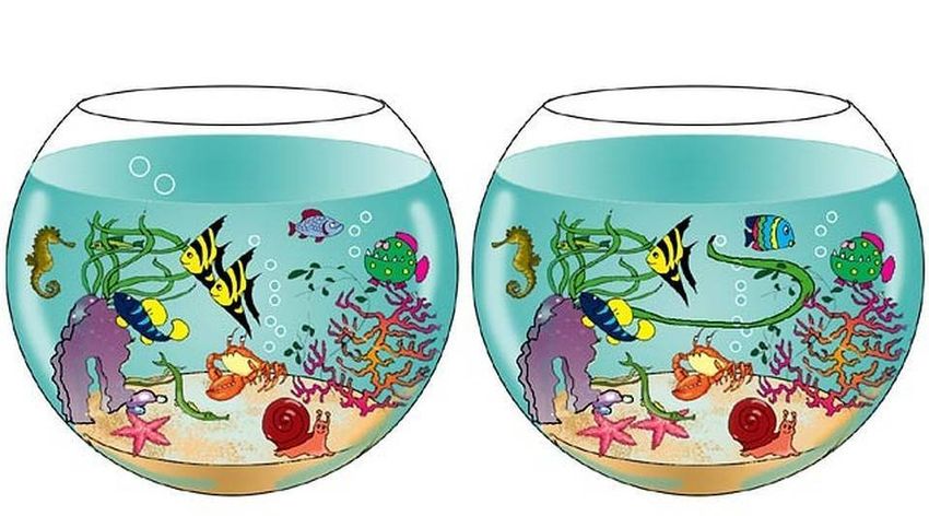 Аквариум с рыбками Аквариум с рыбками для детей