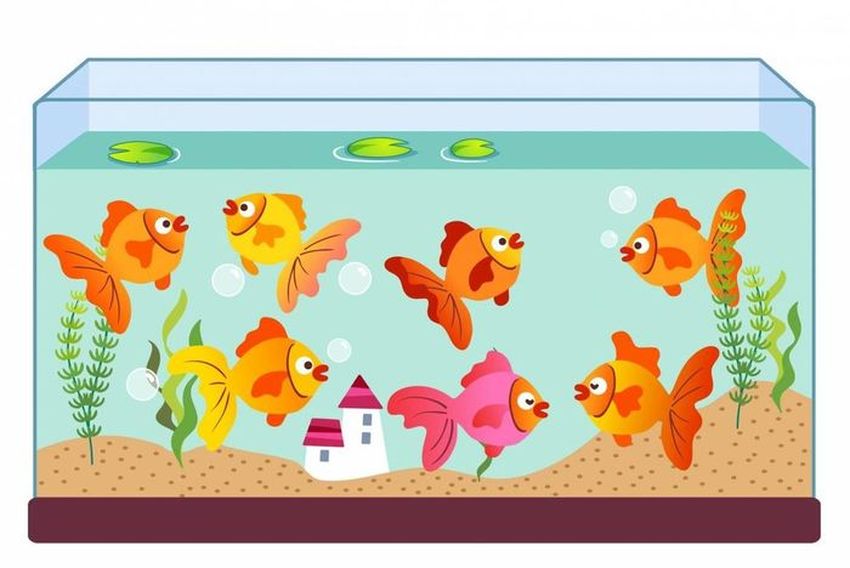 Аквариум для детей Аквариум аквариум