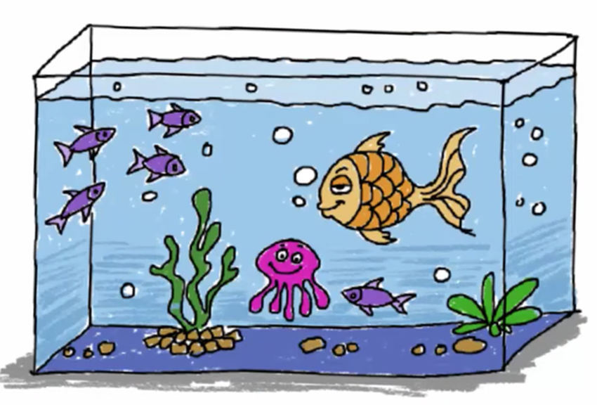 Рисуем аквариум Рисование аквариум