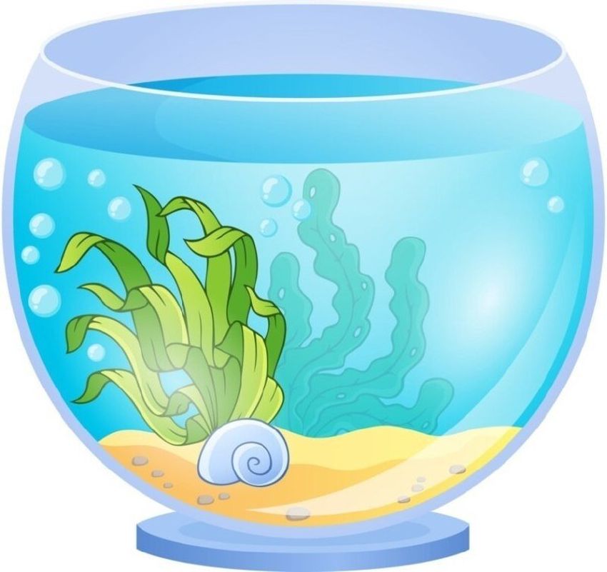 Аквариум без рыбок Аквариум для детей