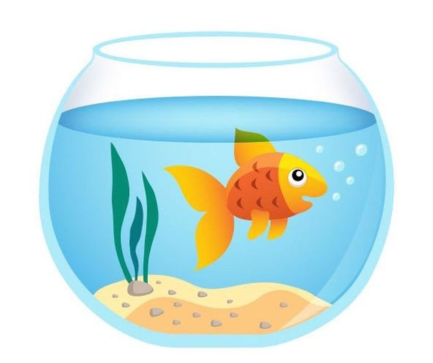 Аквариум с рыбками для детей Аквариум для детей