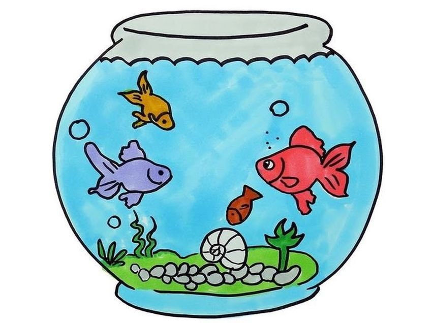 Аквариум с рыбками для детей Аквариум рисунок для детей