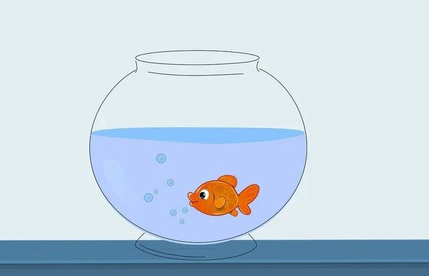 Рыбки аквариум Рисуем аквариум