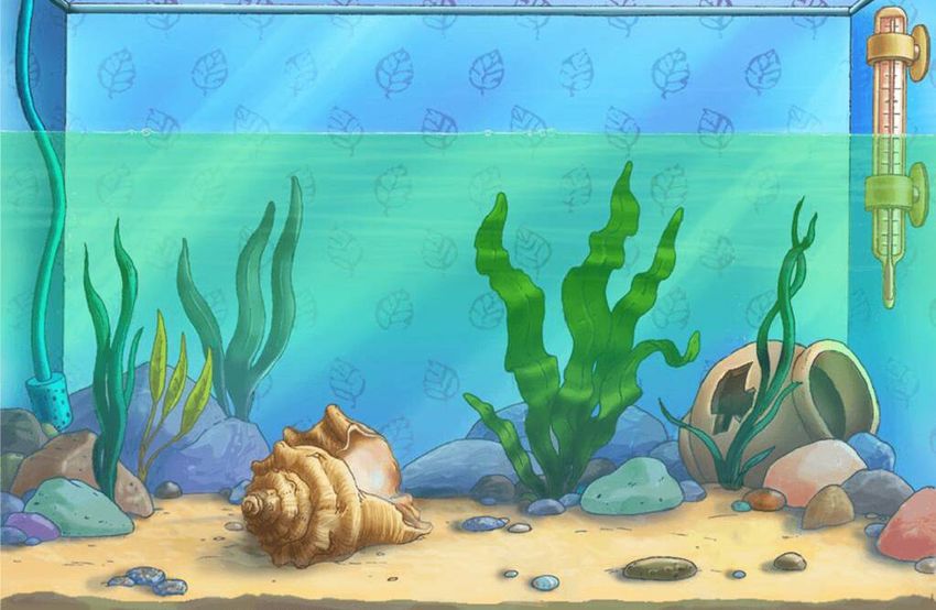 Аквариум Камиль сен санс аквариум