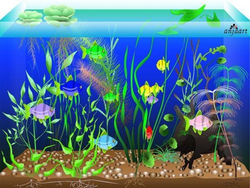 Аквариум с рыбками Аквариум для детей