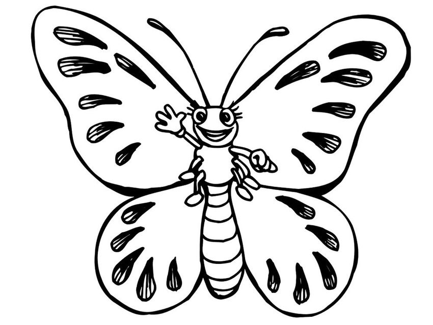 Раскраска для детей бабочка Бабочка раскраска
