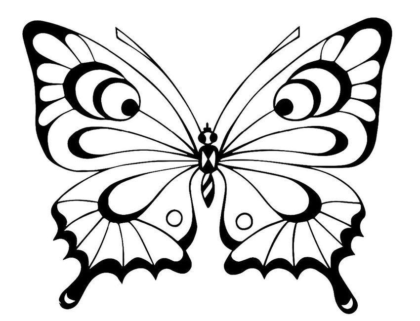 Бабочка раскраска Трафарет бабочки