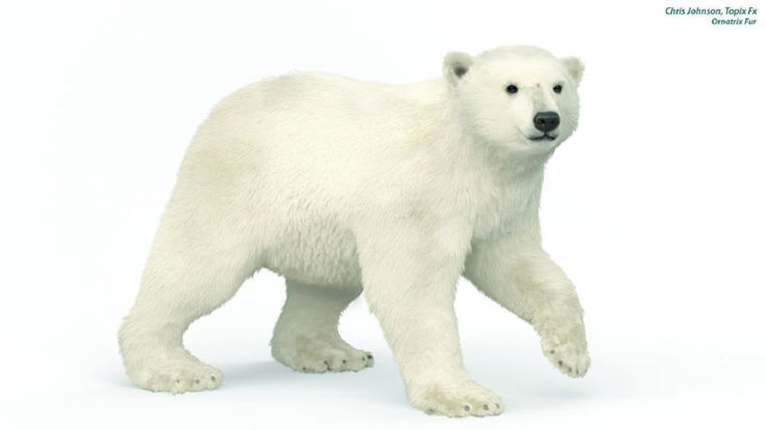 Schleich белый медведь 14800