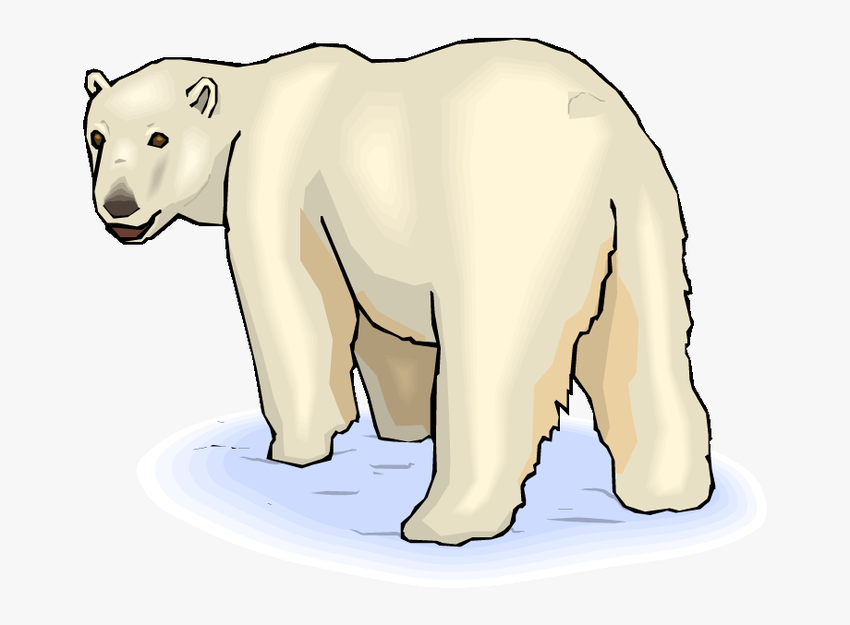 Рисунок белого медведя