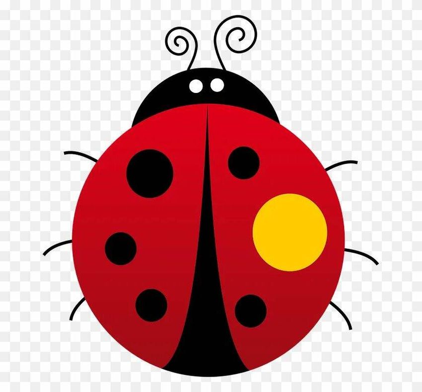 Ladybug божья коровка