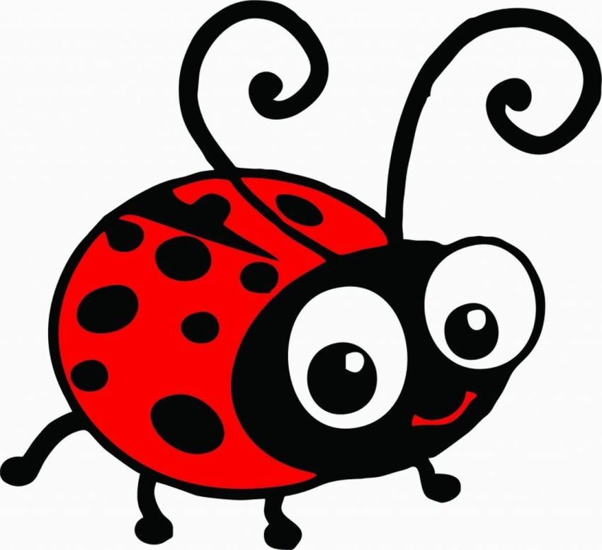 Ladybug божья коровка