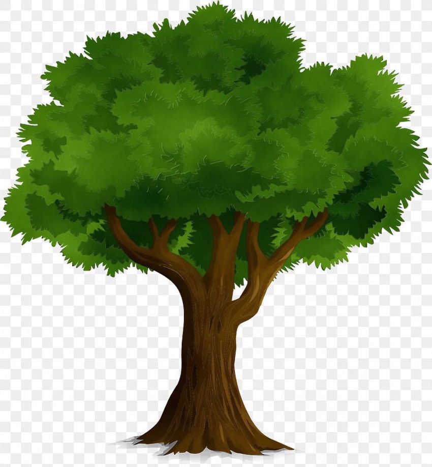 Дерево мультяшный