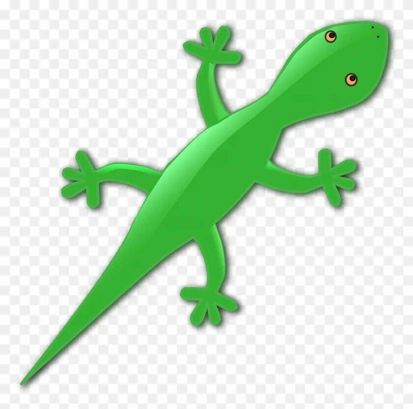 Зеленый геккон