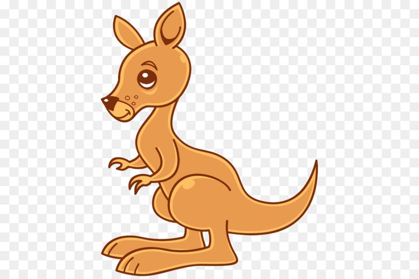 Рисунок кенгуру