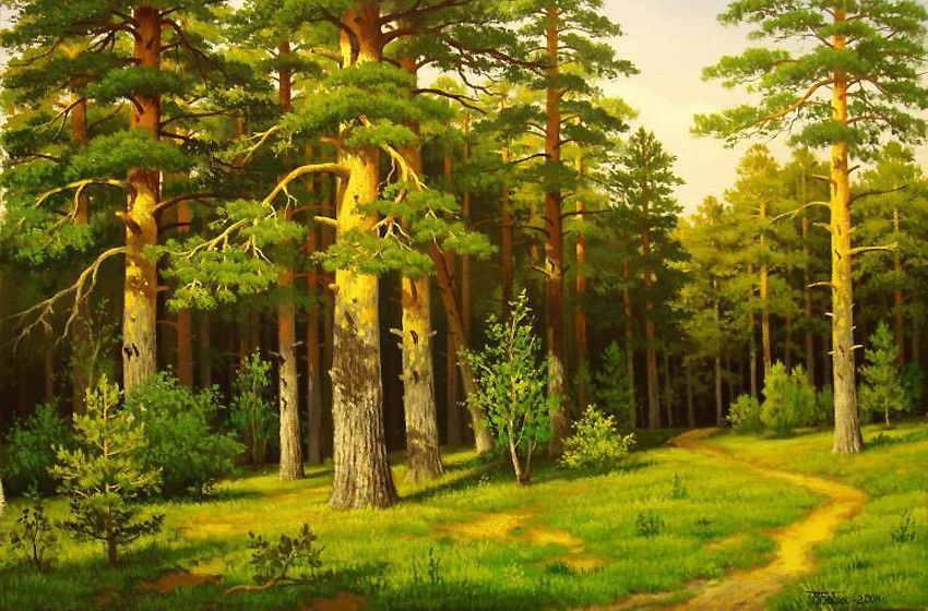 Сосна картина Шишкин сосна картина