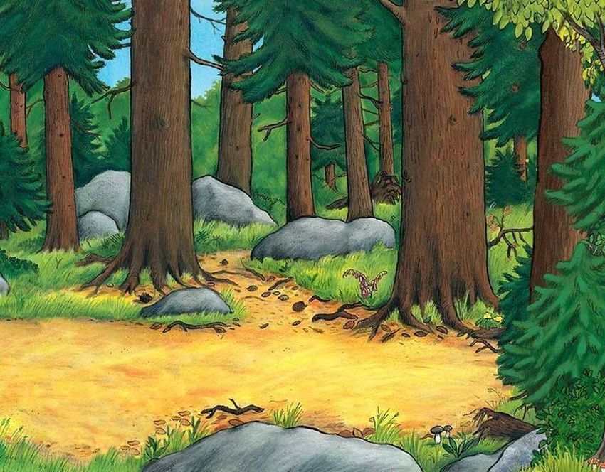 Дональдсон джулия груффало Груффало лес