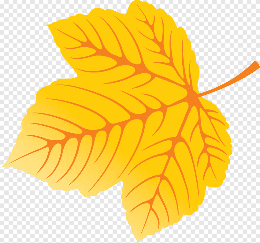Осенние листья шаблоны цветные