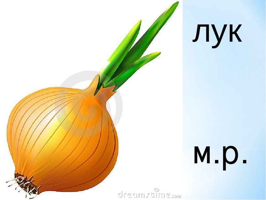 Лук рисунок для детей