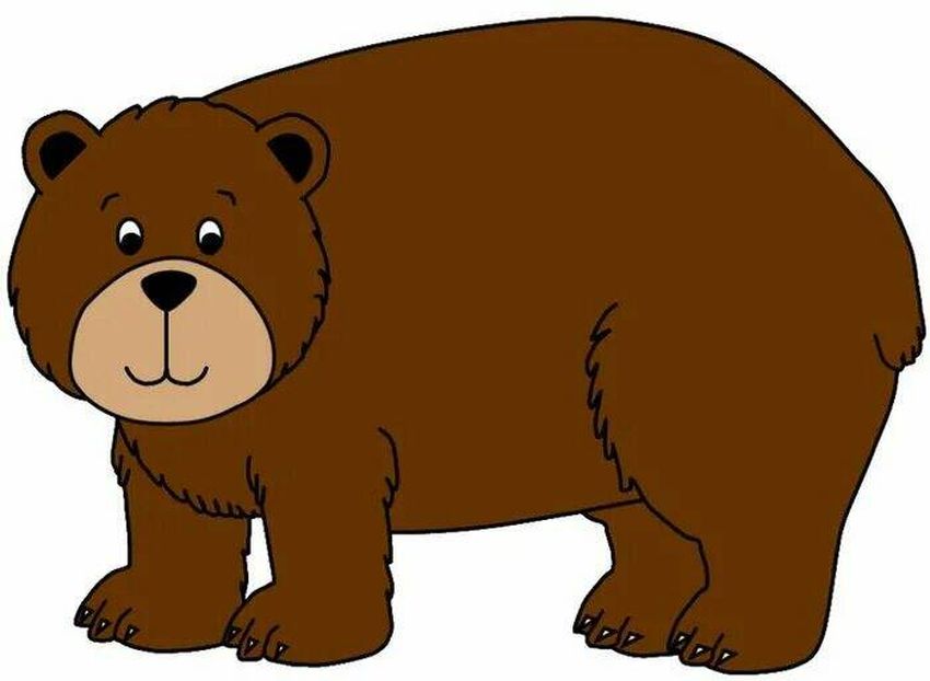 A bear