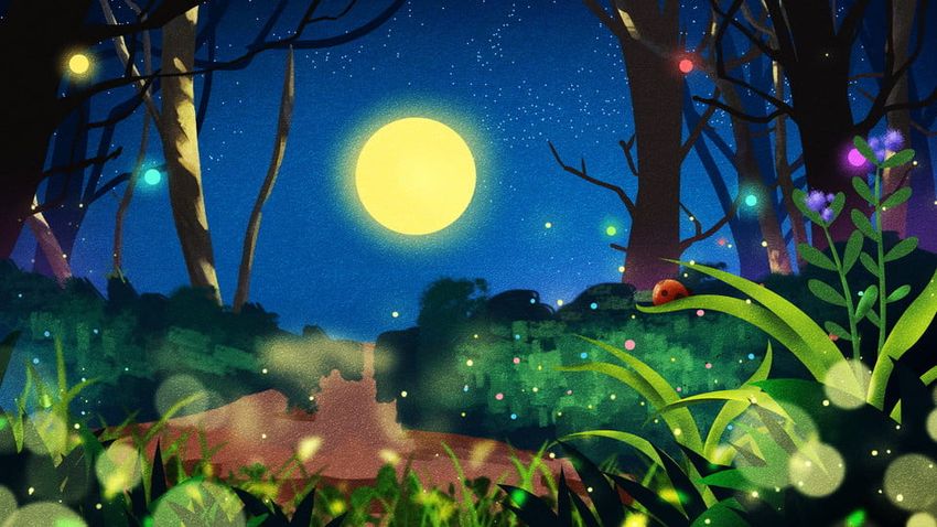 Лес светлячков Лес с светлячками ночью аниме