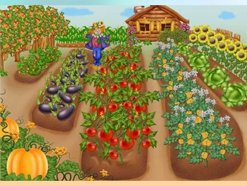 Огород с овощами