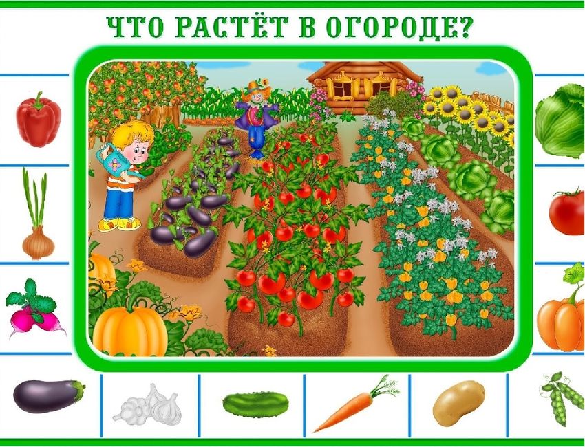 Грядка с овощами для детей