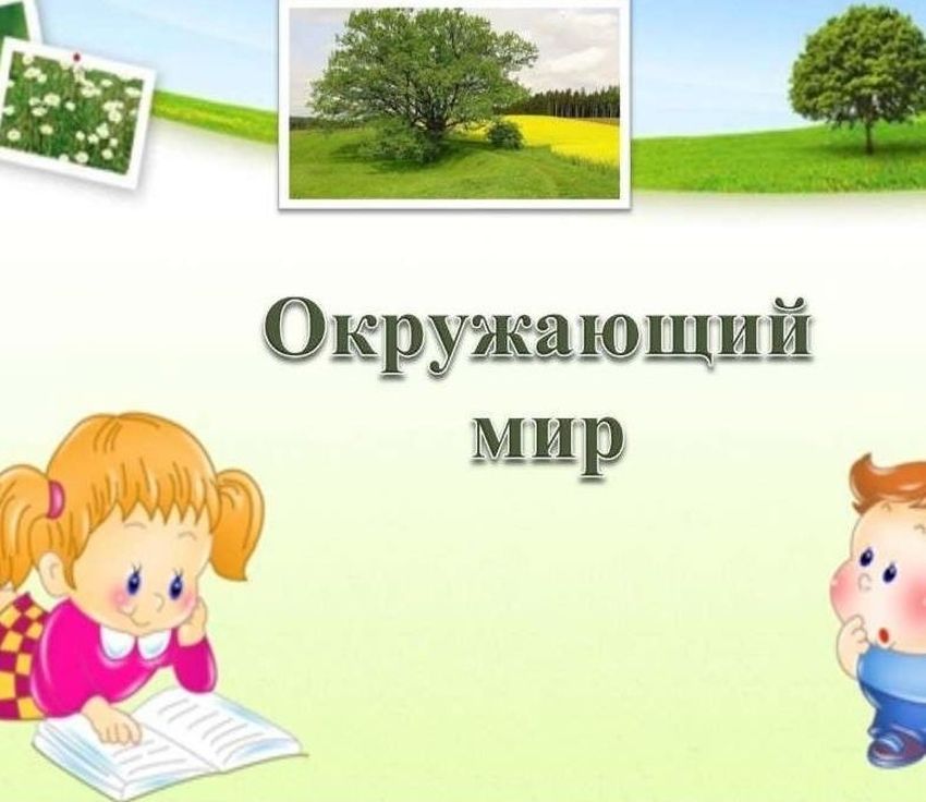 Урок окружающий мир
