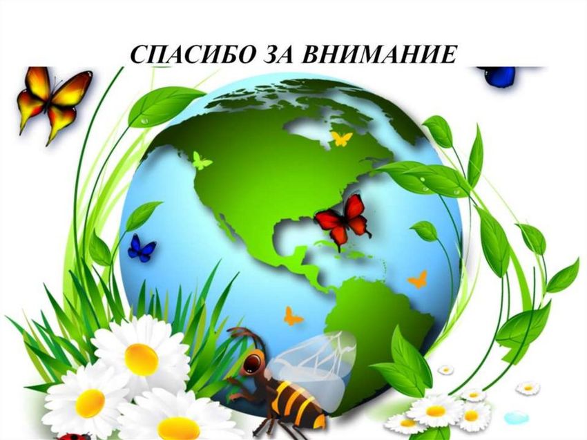 Природа экология