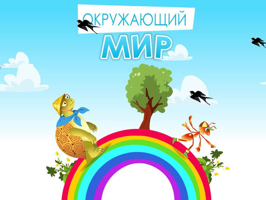 Олимпиада по окружающему миру