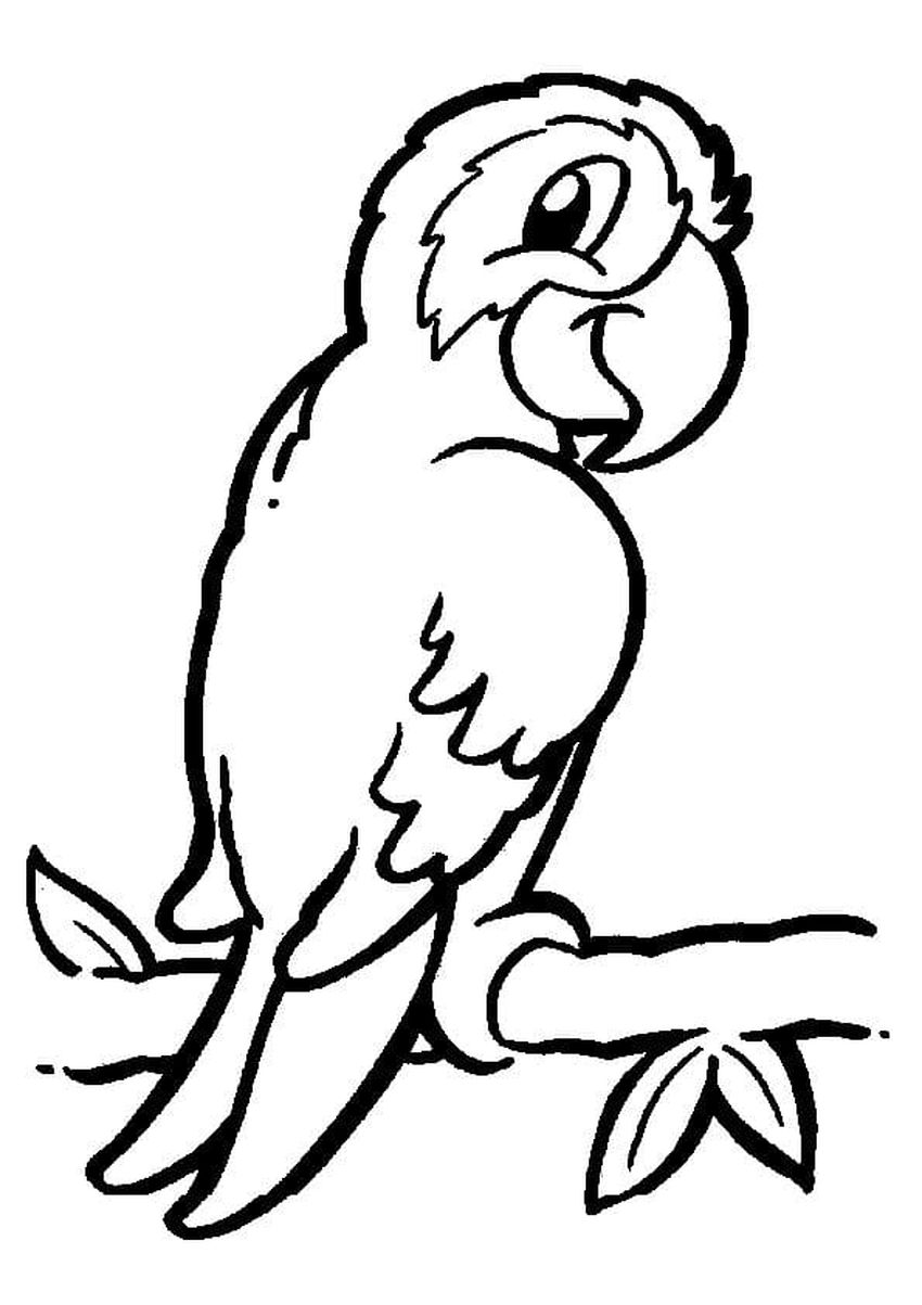 Попугай ара раскраска