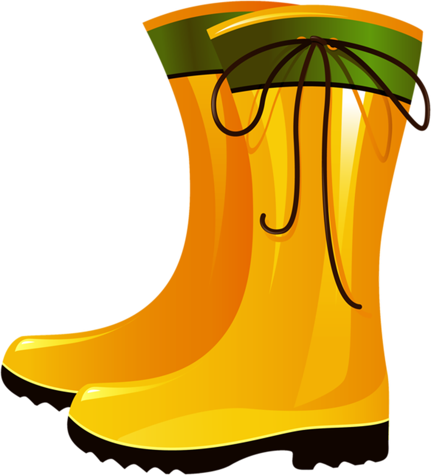 Резиновые сапоги Сапоги мультяшная