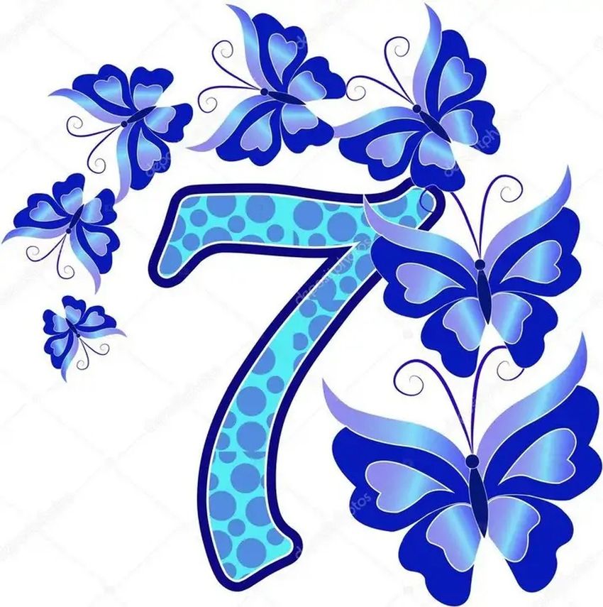  7 