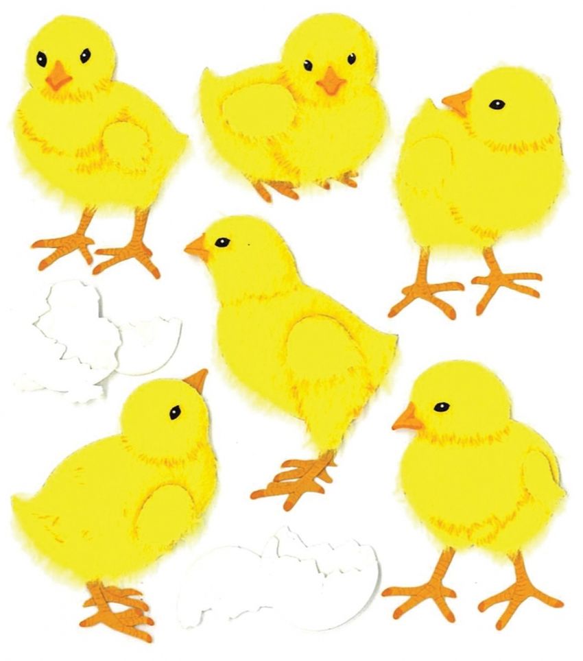 Цыпленок для детей