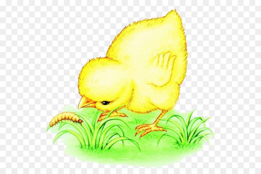 Рисунок цыпленка для детей