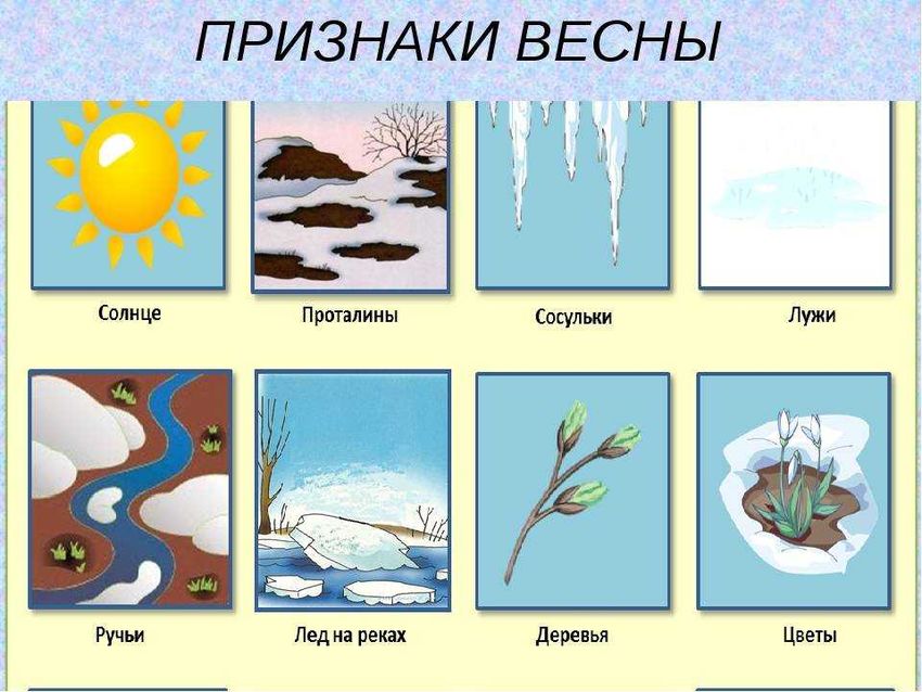 Признаки весны для детей
