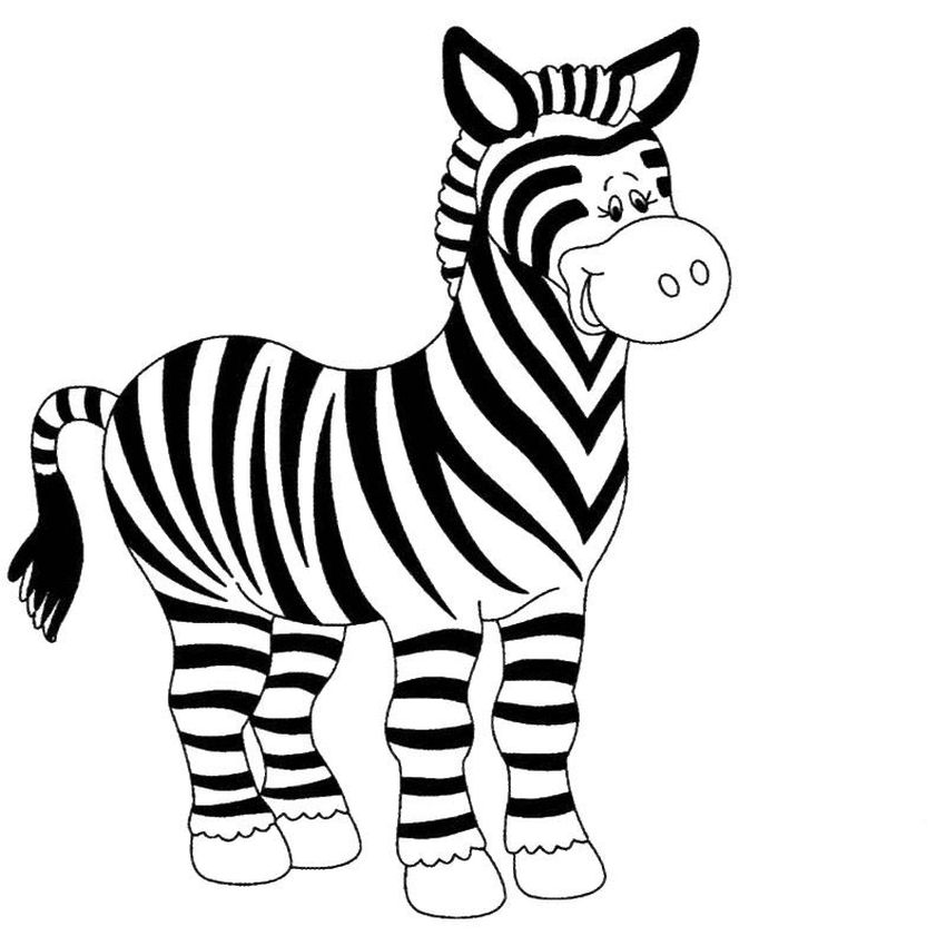 Раскраски зебра Зебра детский рисунок