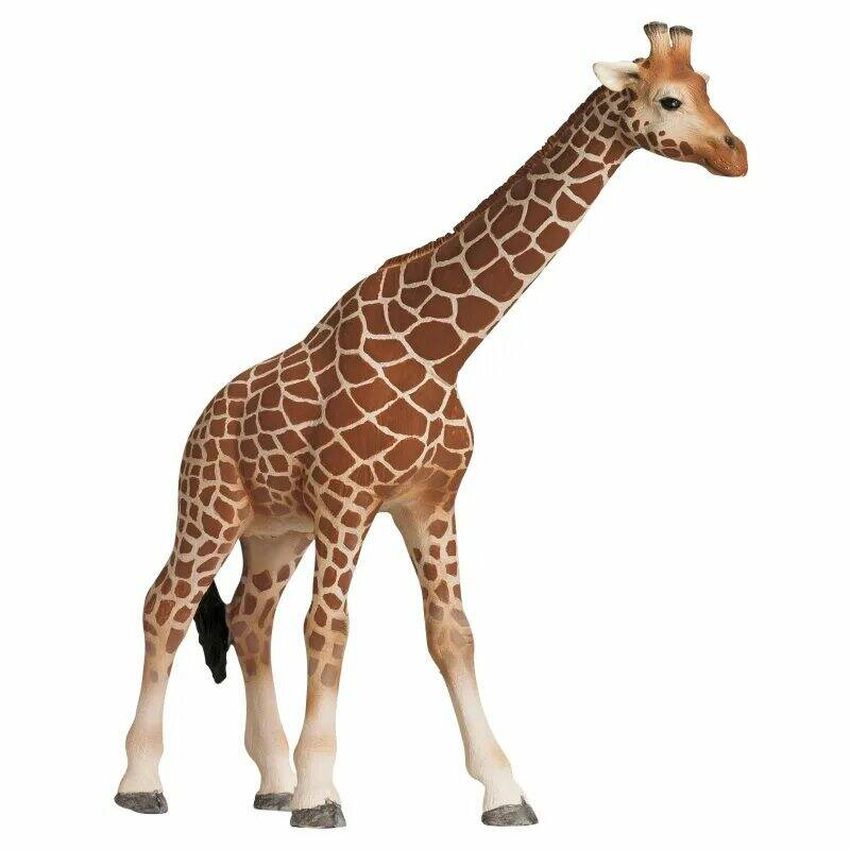Жираф шляйх Фигурка safari ltd wildlife жираф 100421