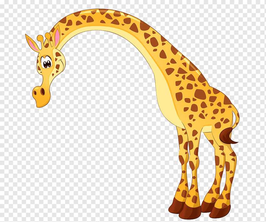 Жирафик на белом фоне Жираф на белом фоне
