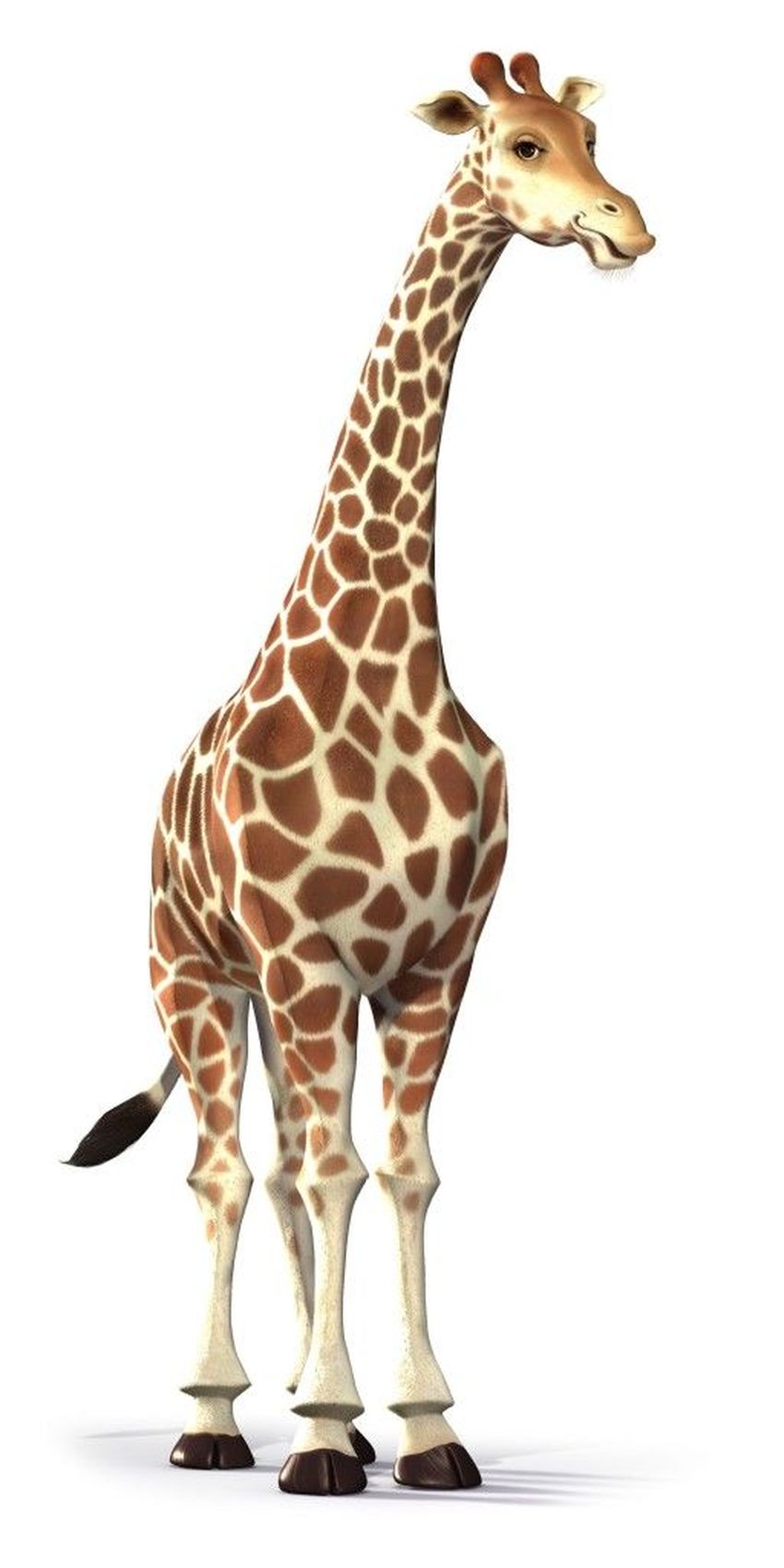 Жираф на белом фоне Жираф на прозрачном фоне