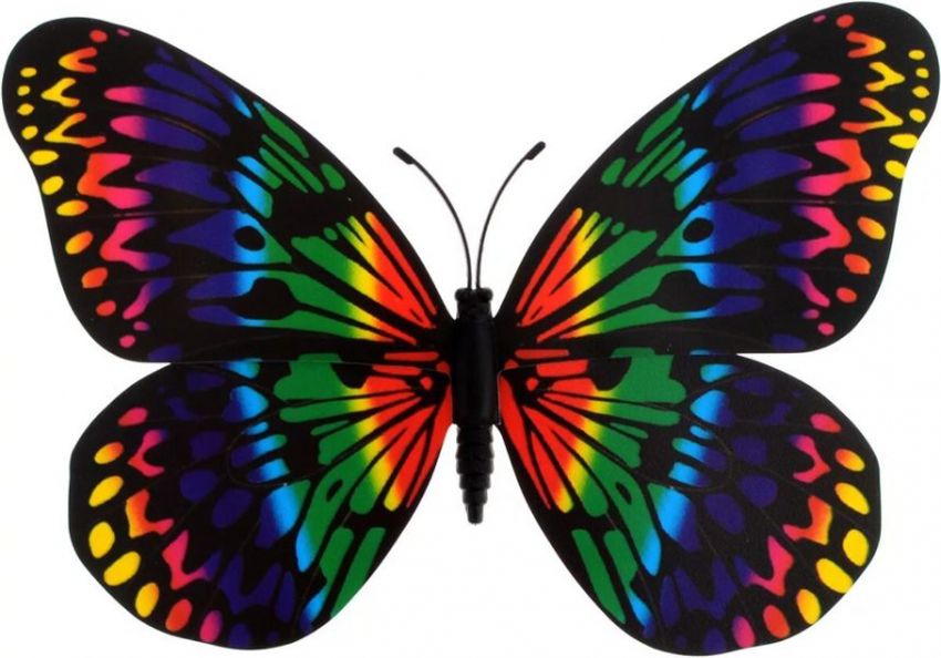 Радужные бабочки