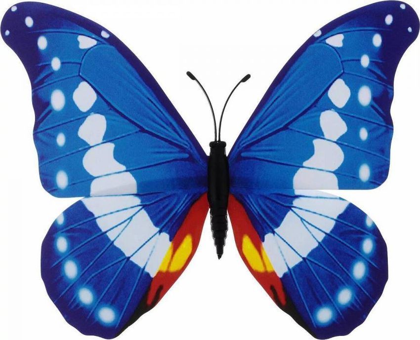 Бабочка синяя