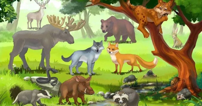 Лесные животные для детей Игра дикие животные