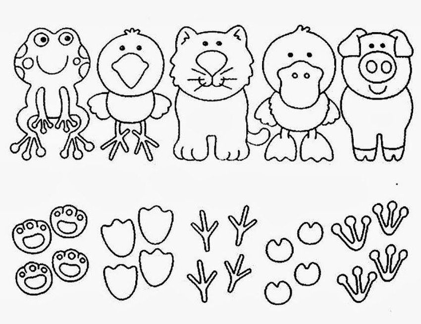 Раскраски животные для детей Развивашки для детей