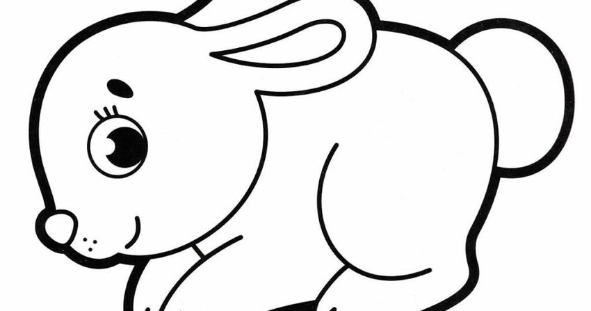 Заяц раскраска для детей Заяц раскраска