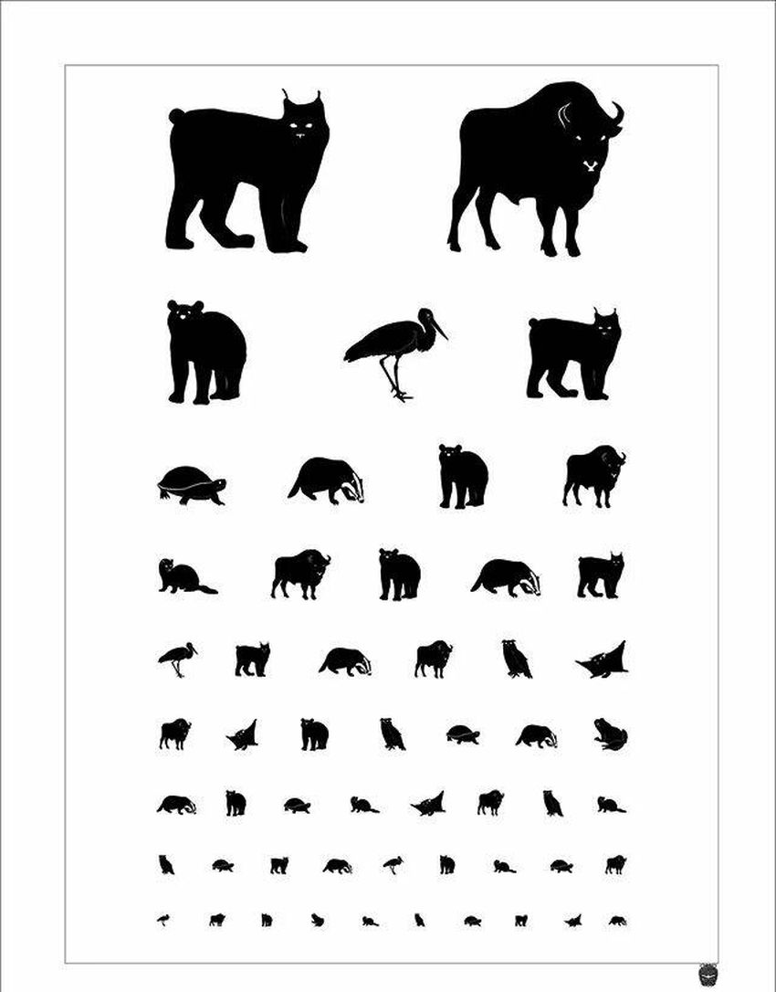 Силуэты животных Таблица для проверки зрения
