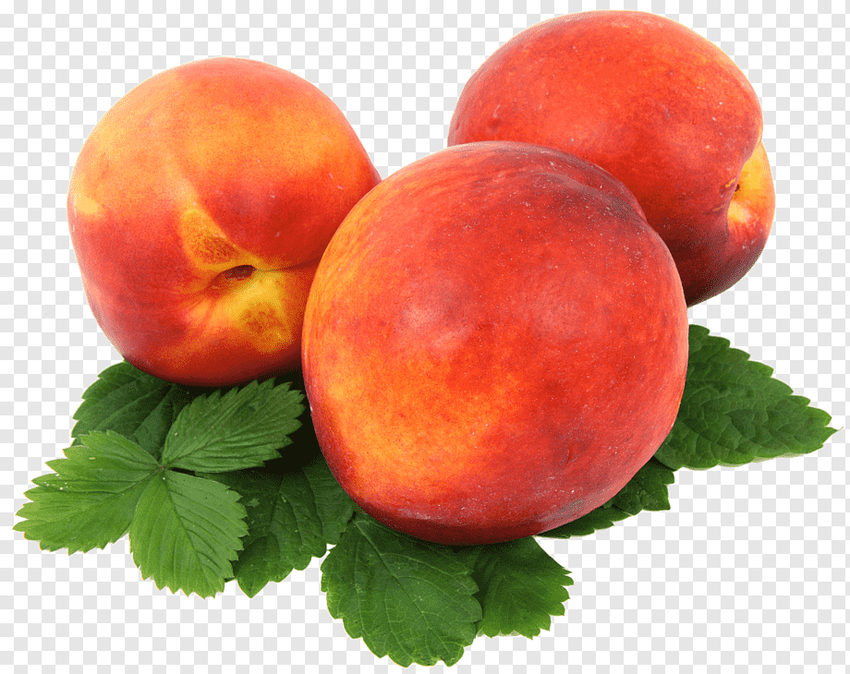 Персик и нектарин