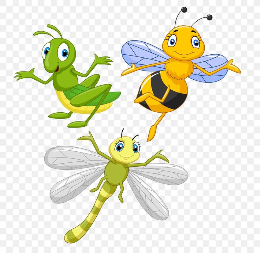 Насекомые мультяшные Стрекоза мультяшная