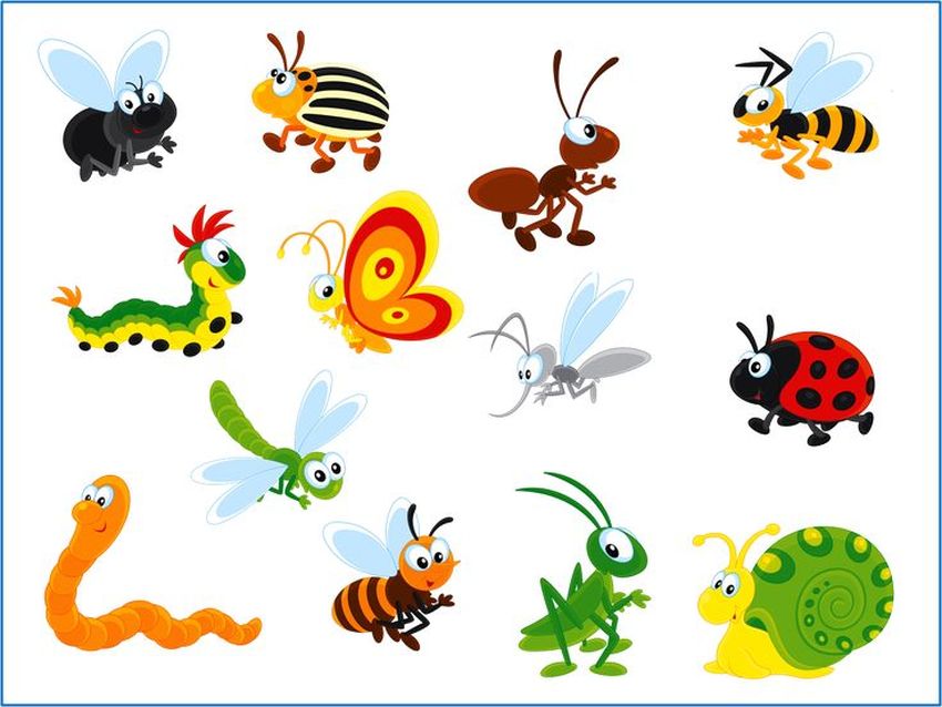 Насекомые для детей Насекомые для дошкольников